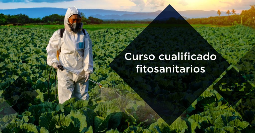 Con este curso obtendrás la capacitación profesional adecuada para aplicar productos fitosanitarios, tanto en el ámbito agrario como en aquellos de carácter profesional.