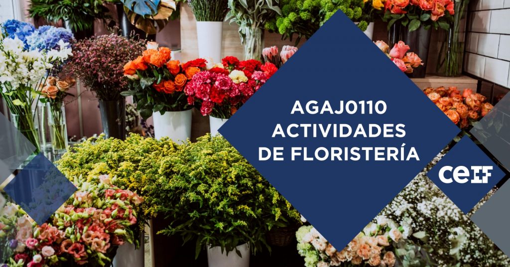 ACTIVIDADES DE FLORISTERÍA