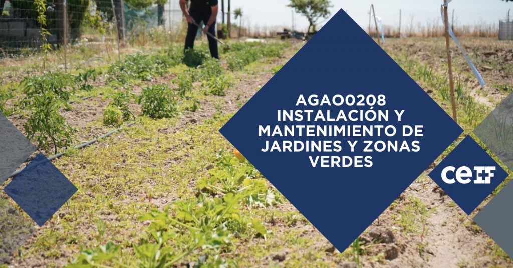 mantenimiento jardines zonas verdes