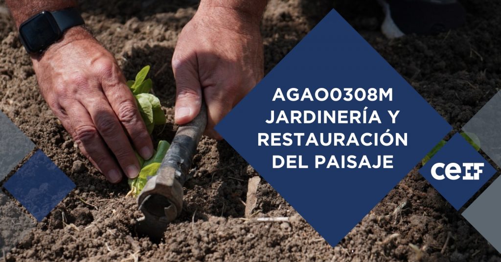 Jardinería restauración paisaje